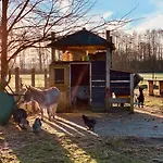 Vossenberg - Op De Veluwe! Epe