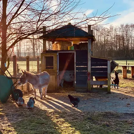 Vossenberg - Op De Veluwe! אפ