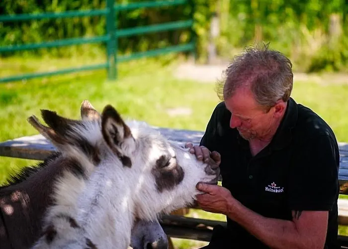 Vossenberg - Op De Veluwe! Epe