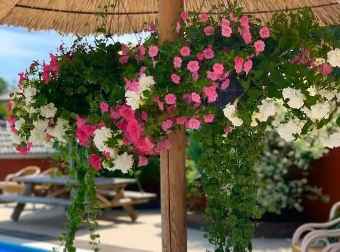 Vossenberg - Op De Veluwe! Epe