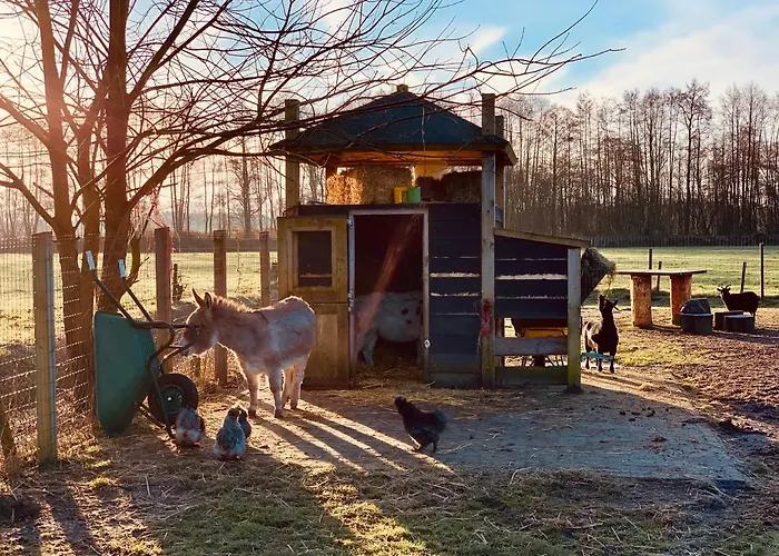 Vossenberg - Op De Veluwe! Epe