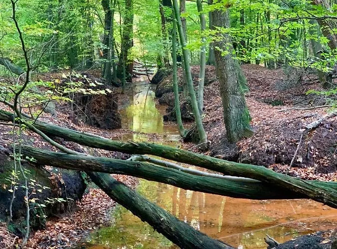 Vossenberg - Op De Veluwe!