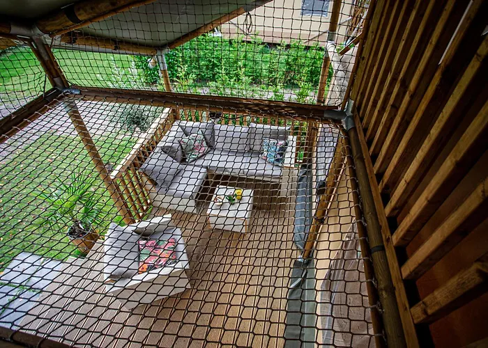 Vossenberg - Op De Veluwe! *