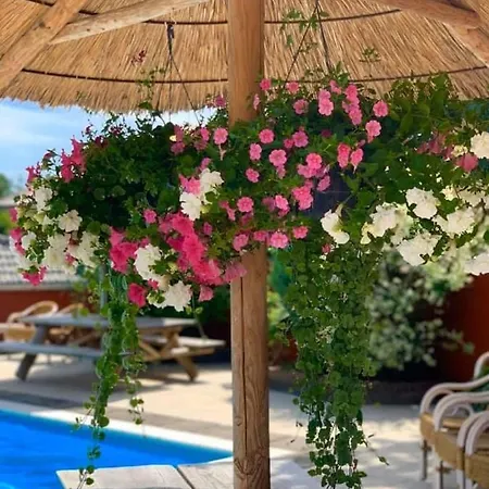 Vossenberg - Op De Veluwe! Epe