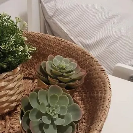 Vossenberg - Op De Veluwe! * Epe